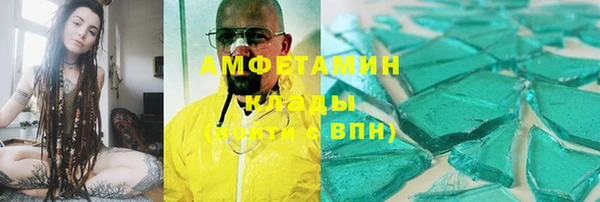 прущие грибы Козловка