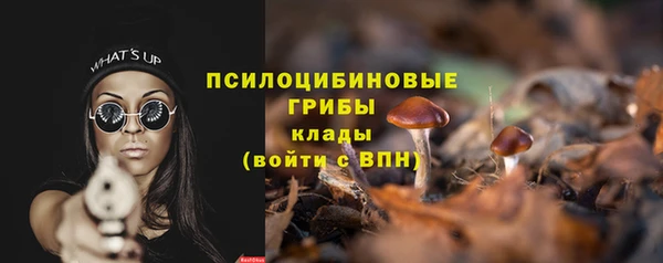 прущие грибы Козловка