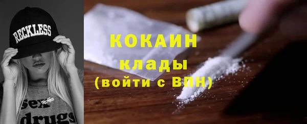 шишки Киренск