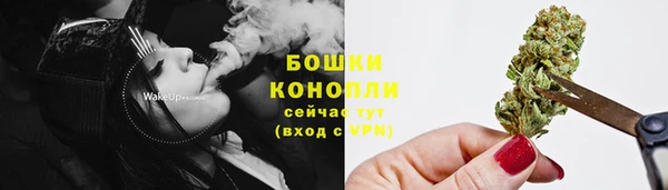 шишки Киренск