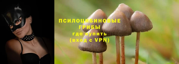 прущие грибы Козловка