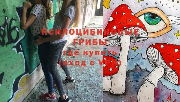 шишки Киренск