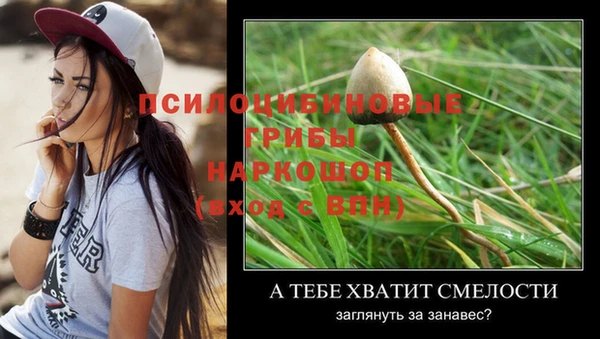 шишки Киренск