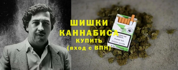 шишки Киренск