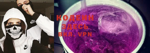 шишки Киренск