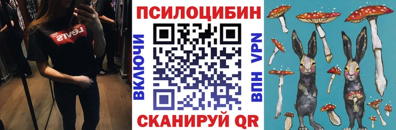Псилоцибиновые грибы Psilocybe Кировград